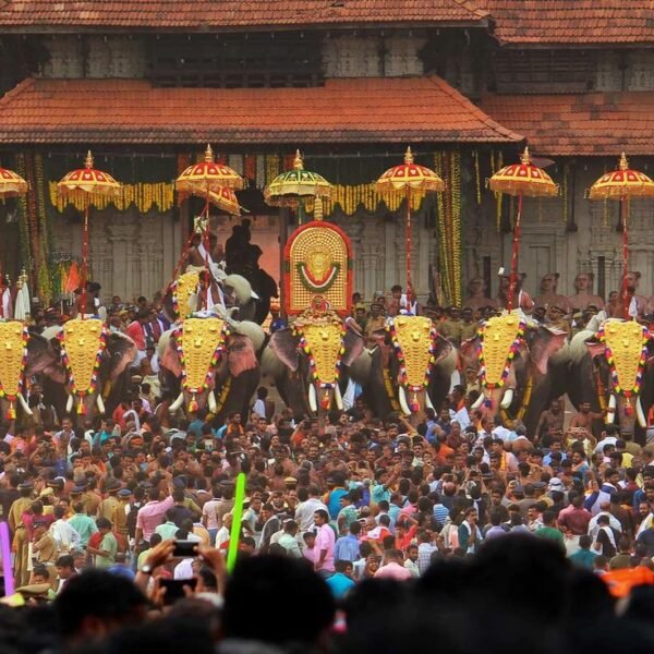 Kerala Luxe Escape - Image 5