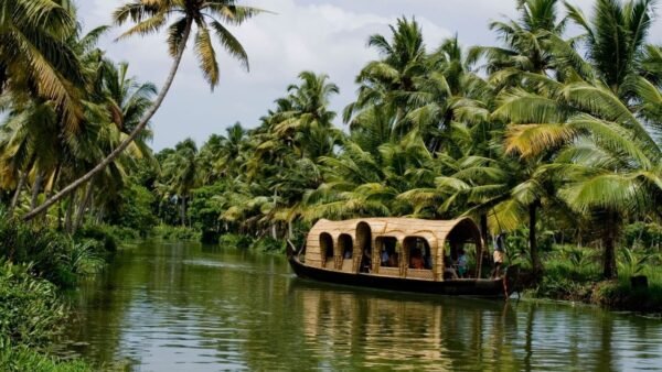Backwater Bliss