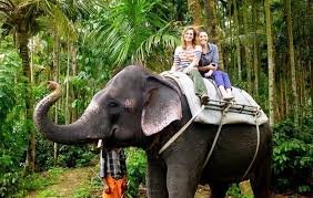 Kerala’s Jungle Survival Experience